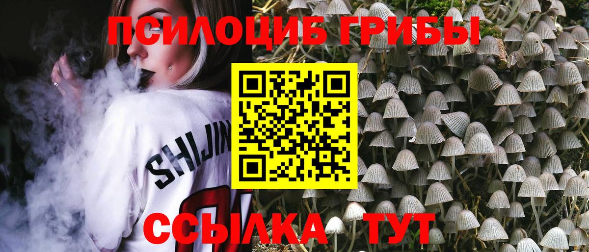 Псилоцибиновые грибы мицелий Уварово
